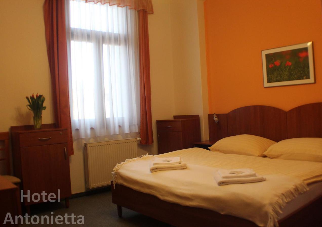 Hotel Antonietta テプリツェ エクステリア 写真