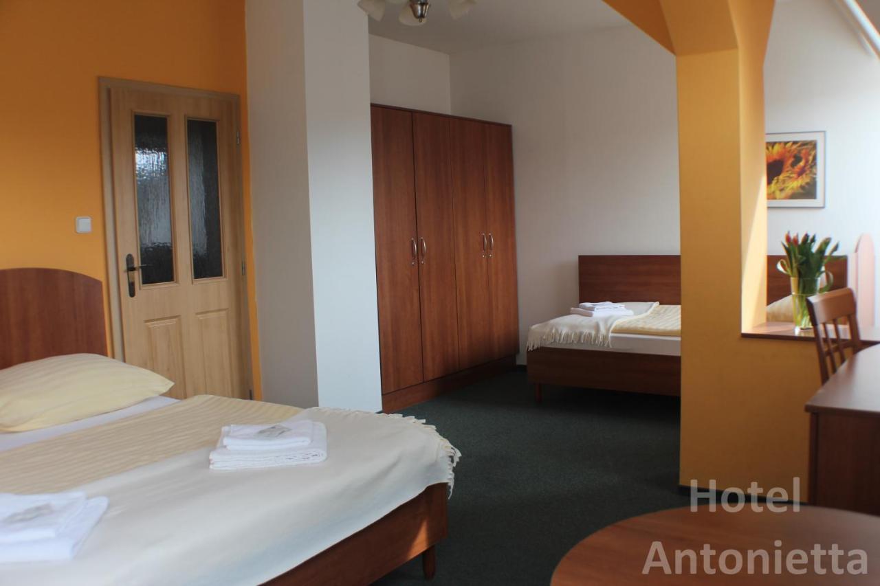Hotel Antonietta テプリツェ エクステリア 写真