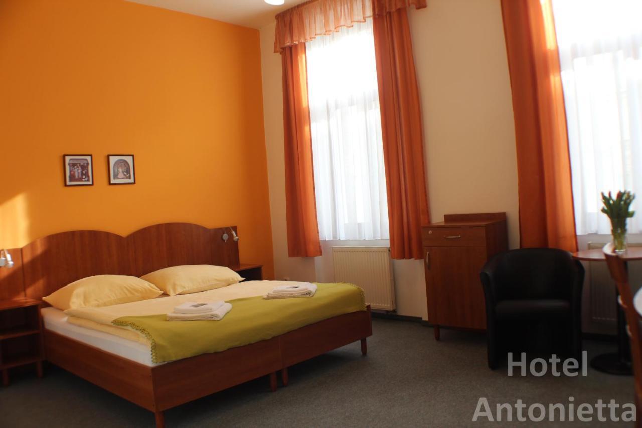 Hotel Antonietta テプリツェ エクステリア 写真