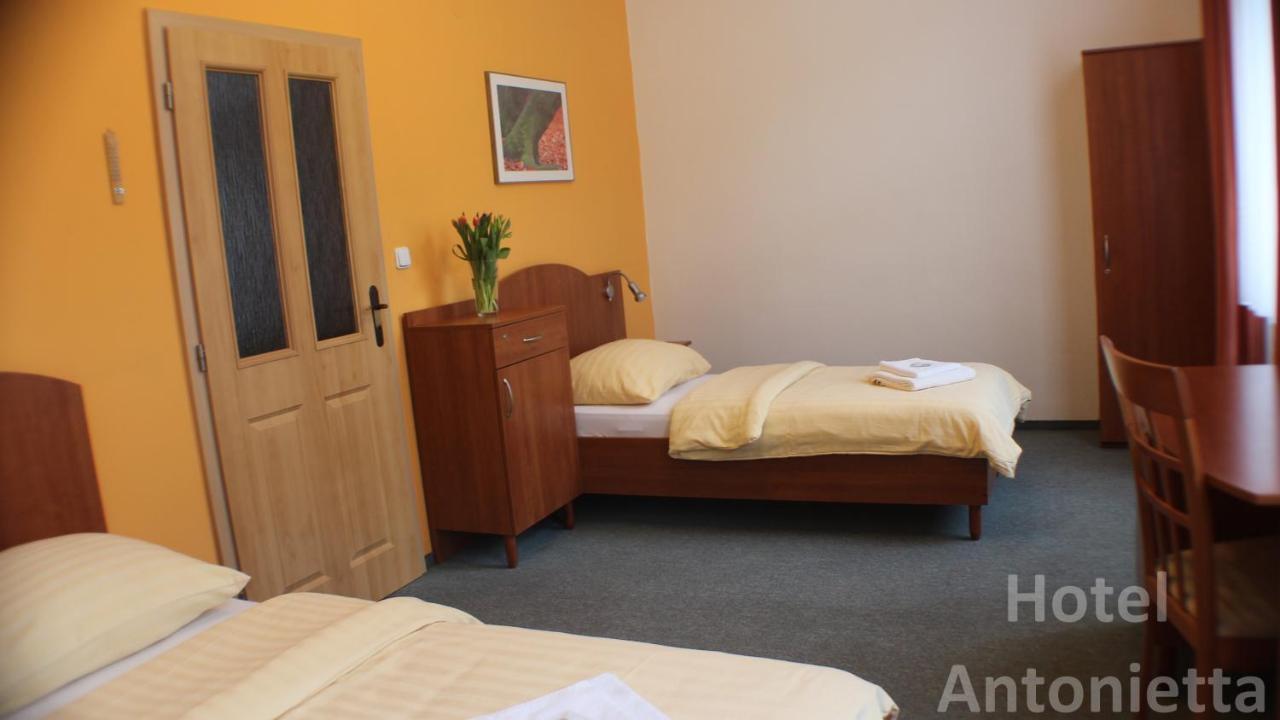 Hotel Antonietta テプリツェ エクステリア 写真