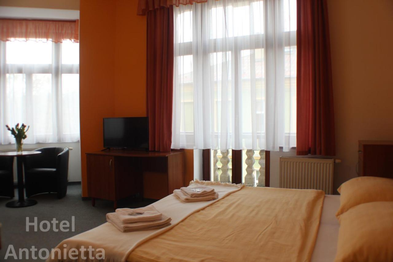 Hotel Antonietta テプリツェ エクステリア 写真