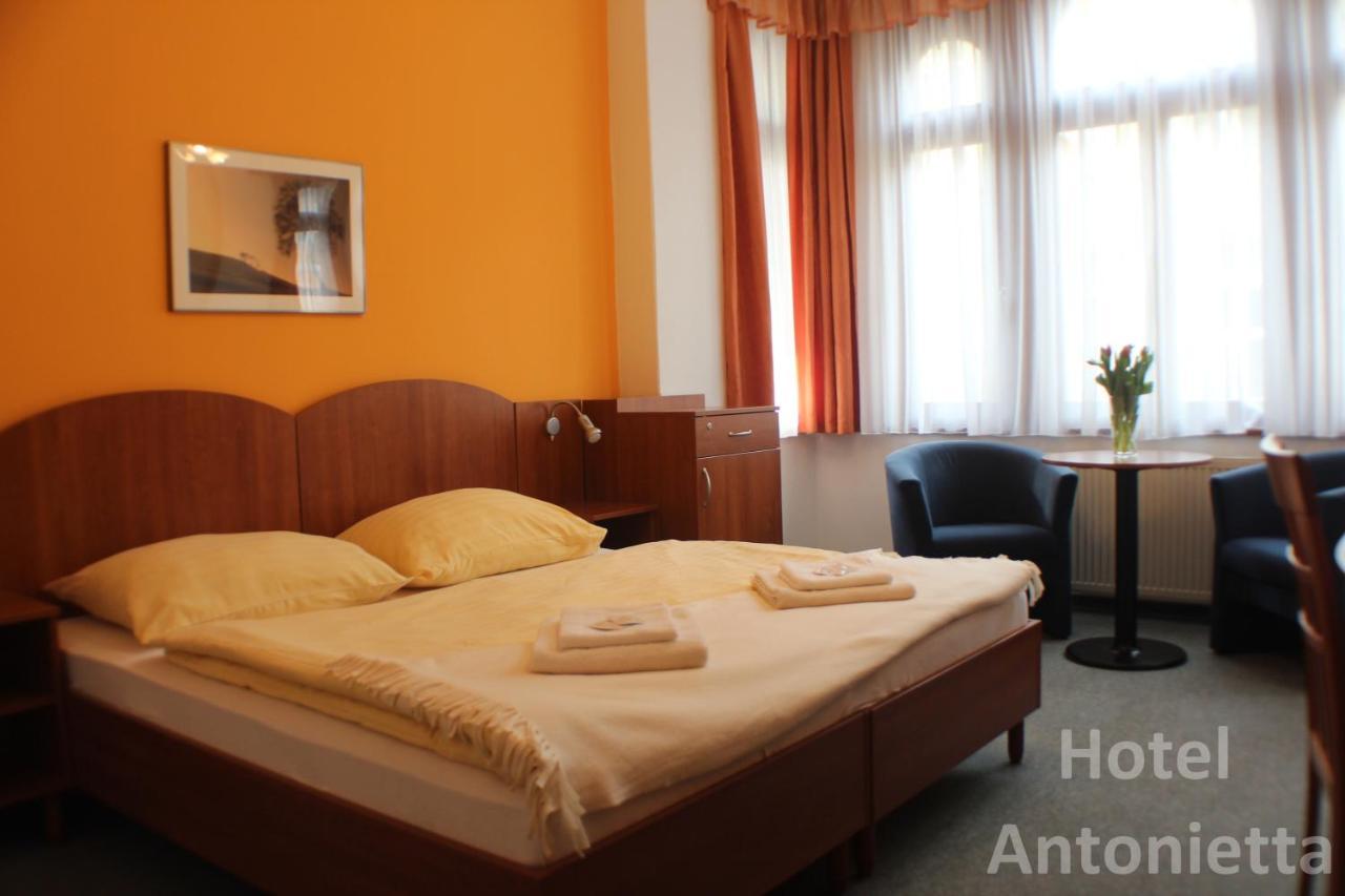Hotel Antonietta テプリツェ エクステリア 写真