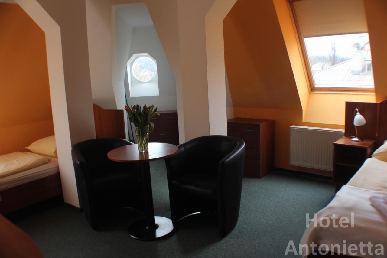 Hotel Antonietta テプリツェ エクステリア 写真