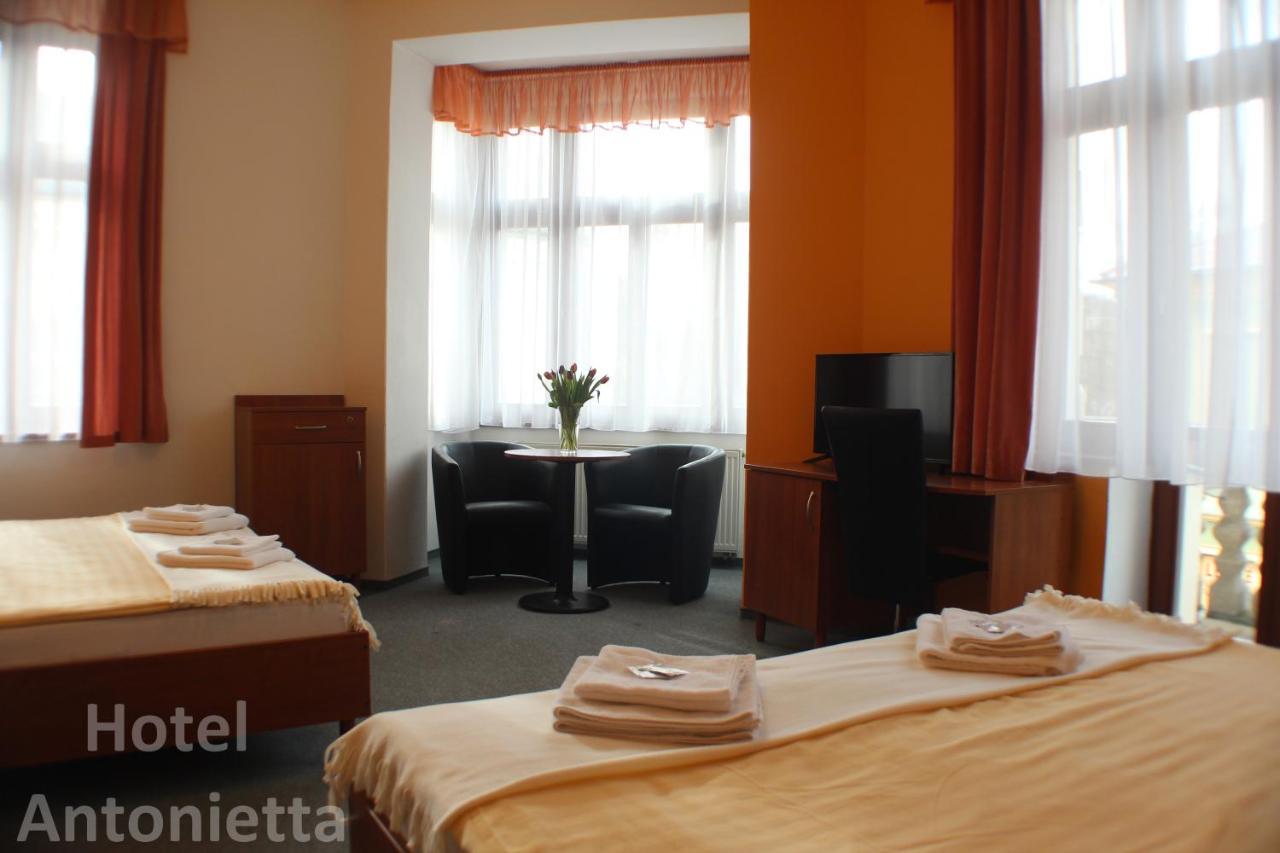 Hotel Antonietta テプリツェ エクステリア 写真