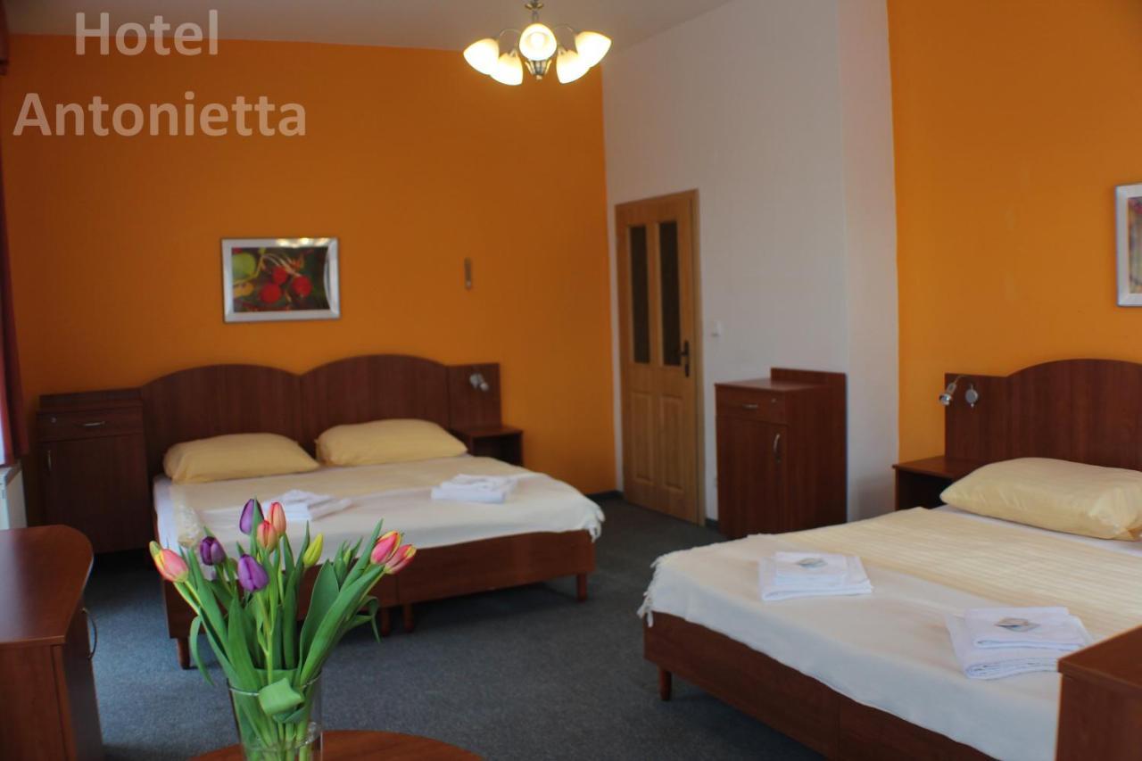 Hotel Antonietta テプリツェ エクステリア 写真