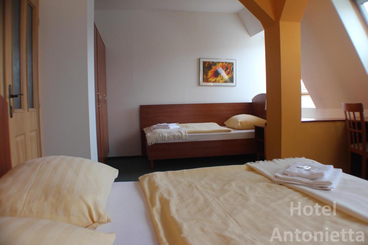 Hotel Antonietta テプリツェ 部屋 写真